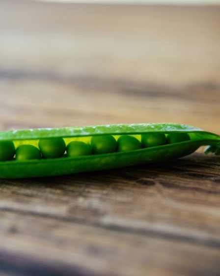PEA